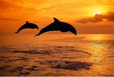 《战神：诸神黄昏》喜获海量高分 开发者集体发文庆祝